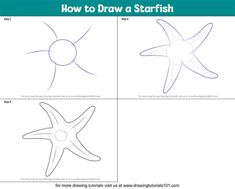 How to Draw a Starfish: Step.